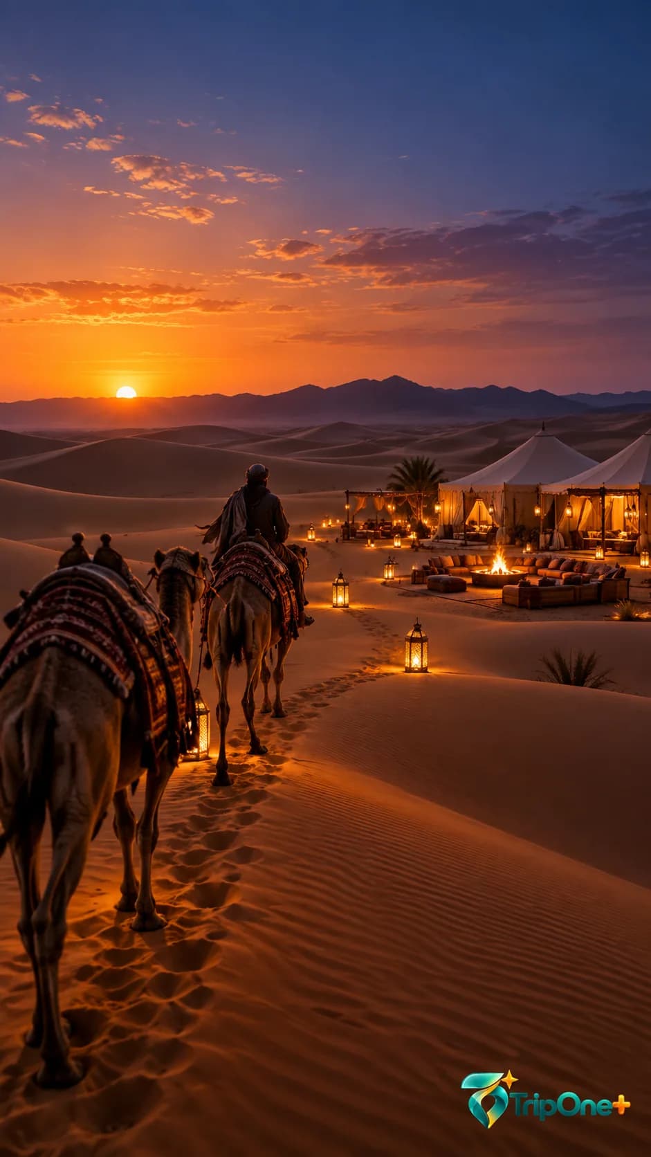 Camps, camel journeys, cultural stops and transfers.